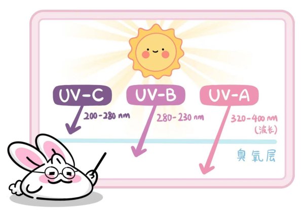 配资平台导航 炎炎夏日 除了皮肤，这个部位也需要防晒