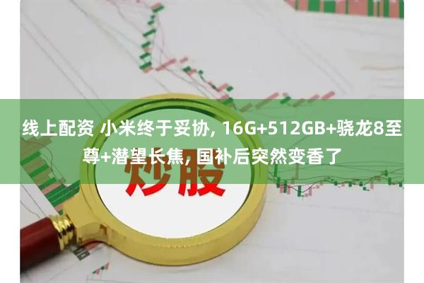 线上配资 小米终于妥协, 16G+512GB+骁龙8至尊+潜望长焦, 国补后突然变香了