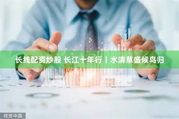 长线配资炒股 长江十年行｜水清草盛候鸟归