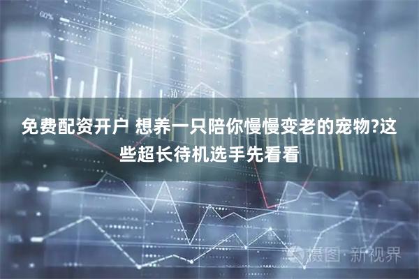 免费配资开户 想养一只陪你慢慢变老的宠物?这些超长待机选手先看看
